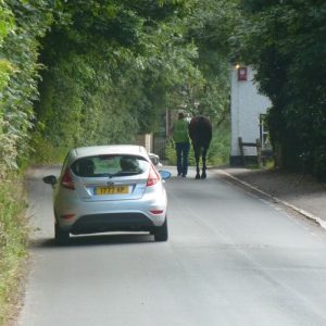Jevington, many businesses use the lane to move horses
