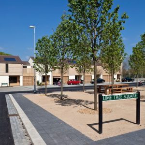 Lime-Tree-Square-Icon-Street-Feilden-Clegg-Bradley street parking hamilton-baillie-associates
